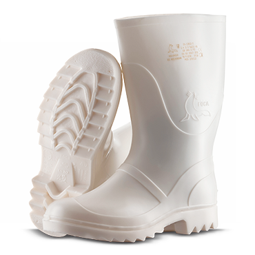 BOTIM FOCA CANO M�DIO image